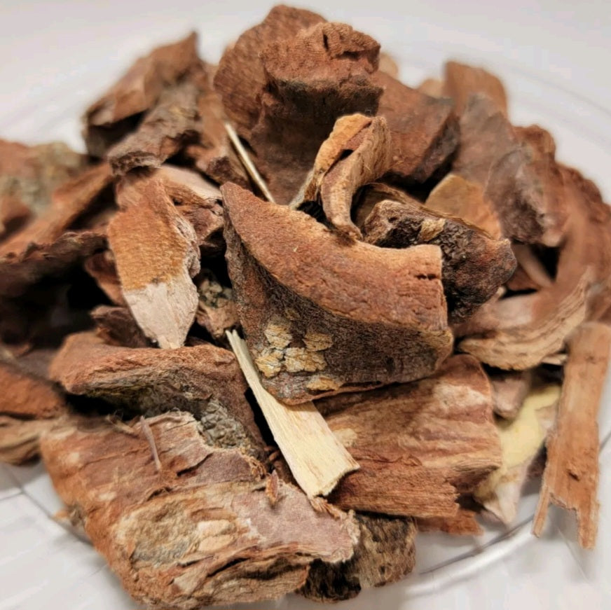 Cuachalalate | Digestive & Skin Healing Tonic